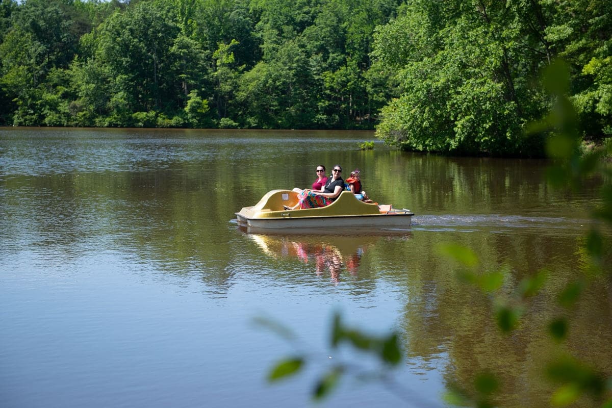 Pedal Boat Family at Wilderness Presidential Resort