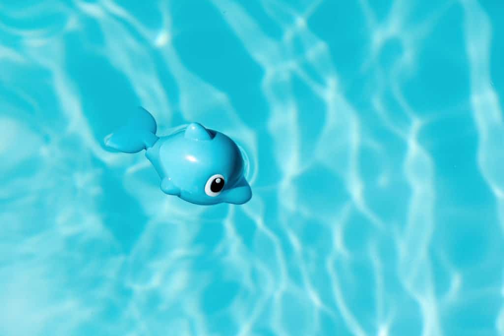 Pool toy