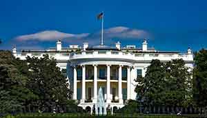 The White House in Washington DC