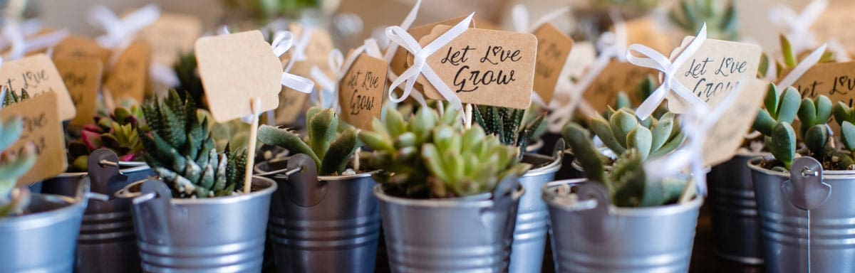 Wedding Details
