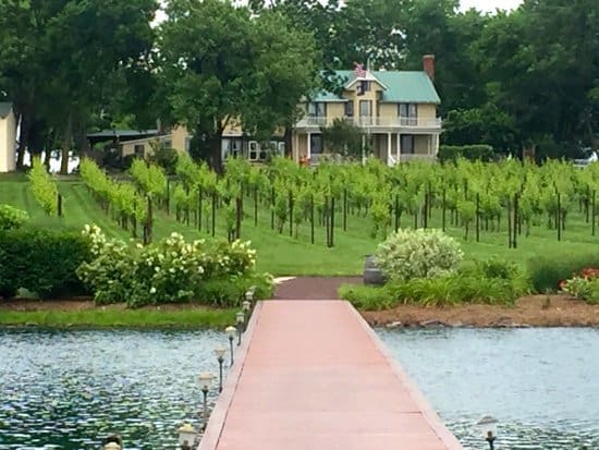 old-house-vineyard