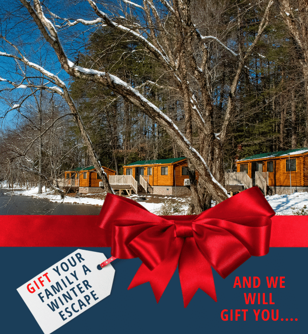Epic Winter Offer 22