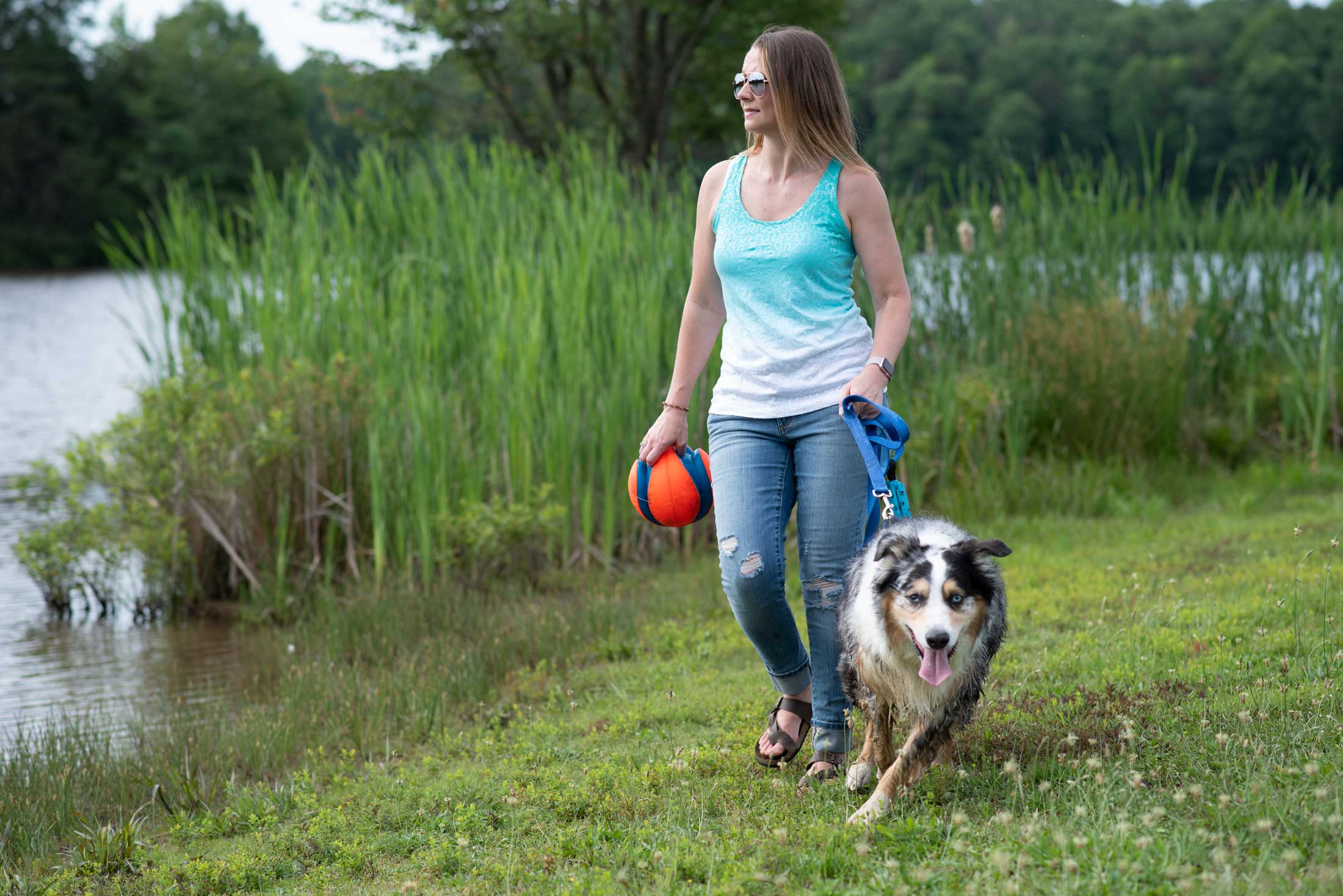 Wilderness Pet Friendly