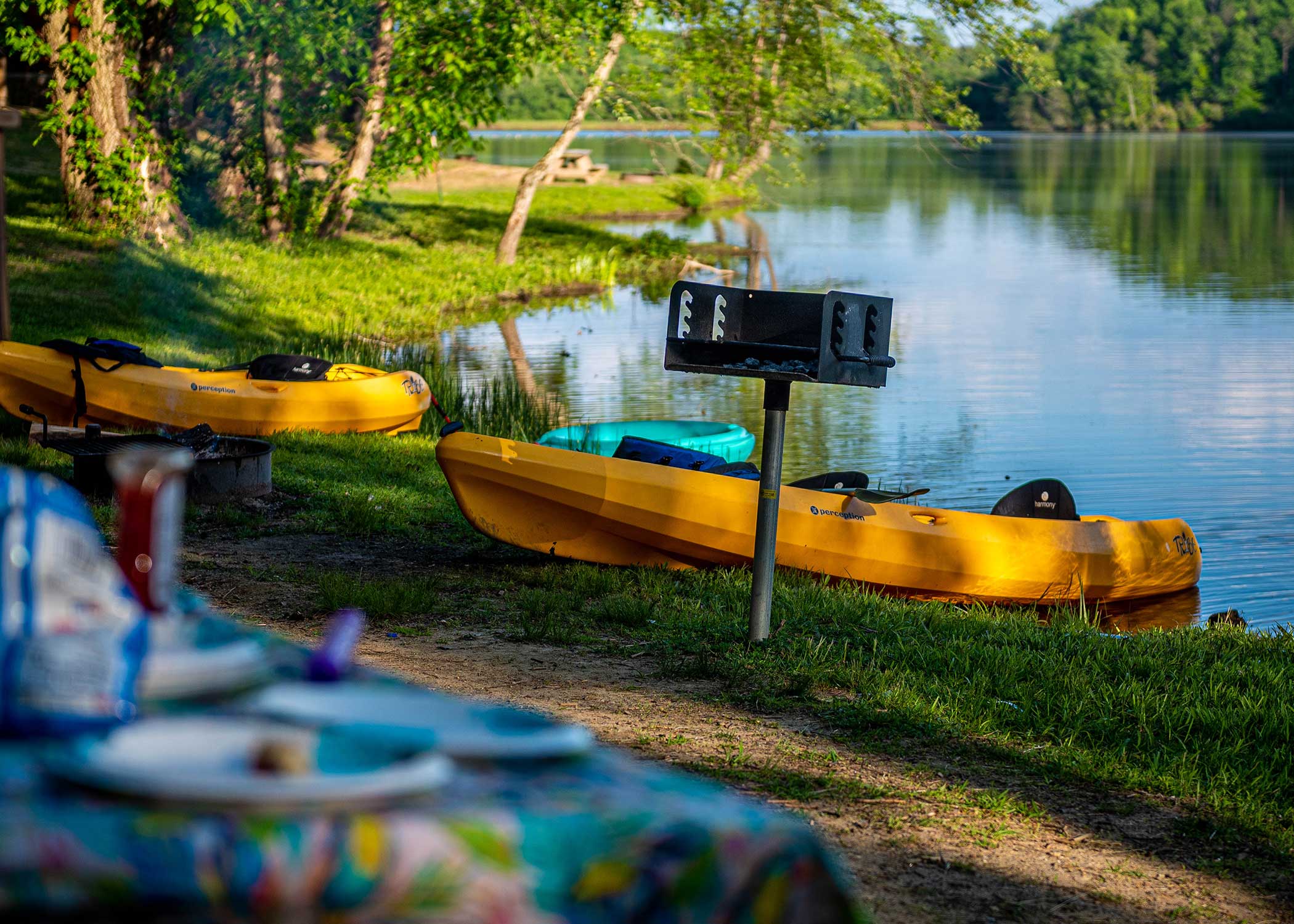 Glamping Vibes on a Cabin Budget: Affordable Escapes Near DC