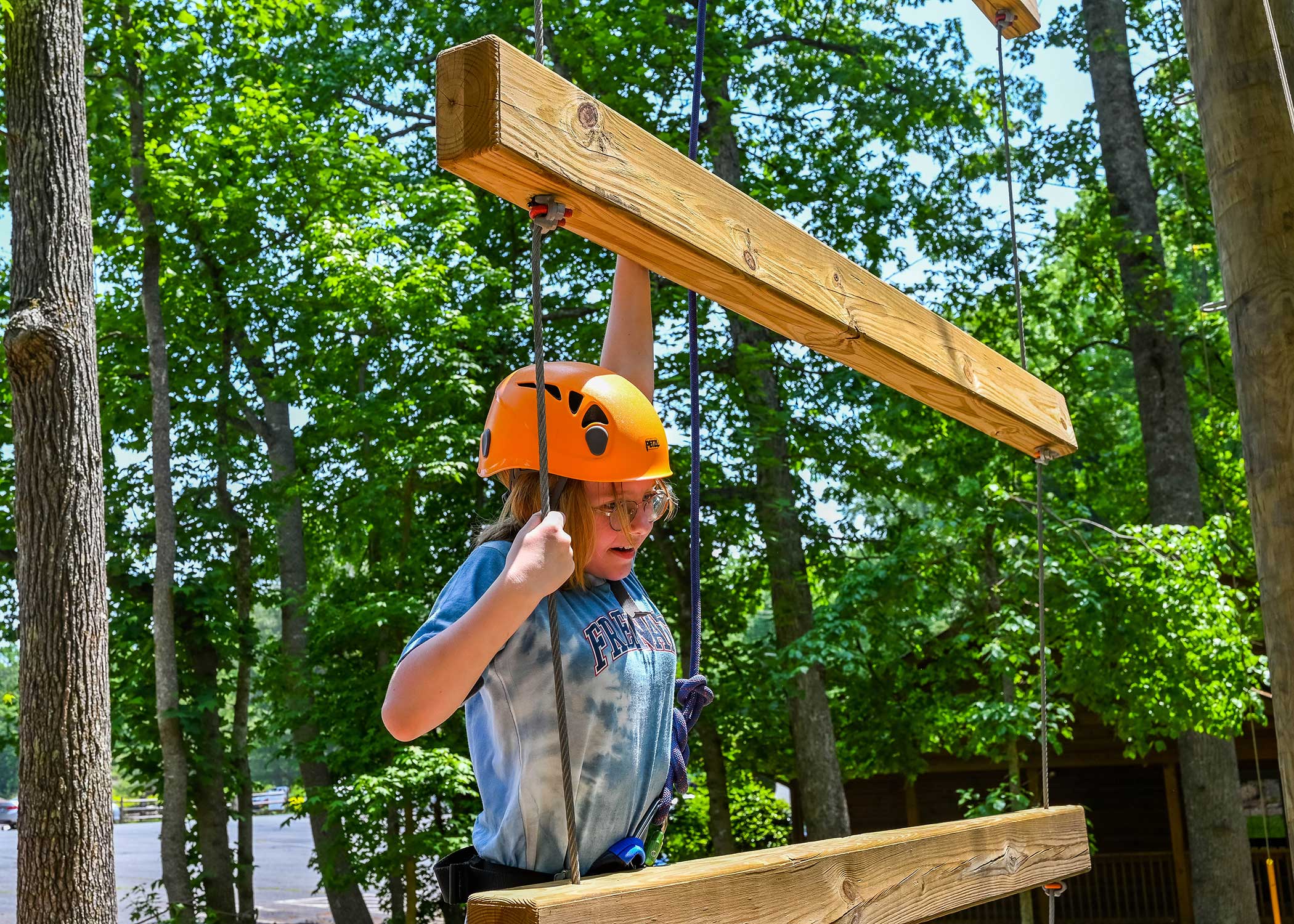 Golliath-Ladder-climber Golliath-Ladder-climber