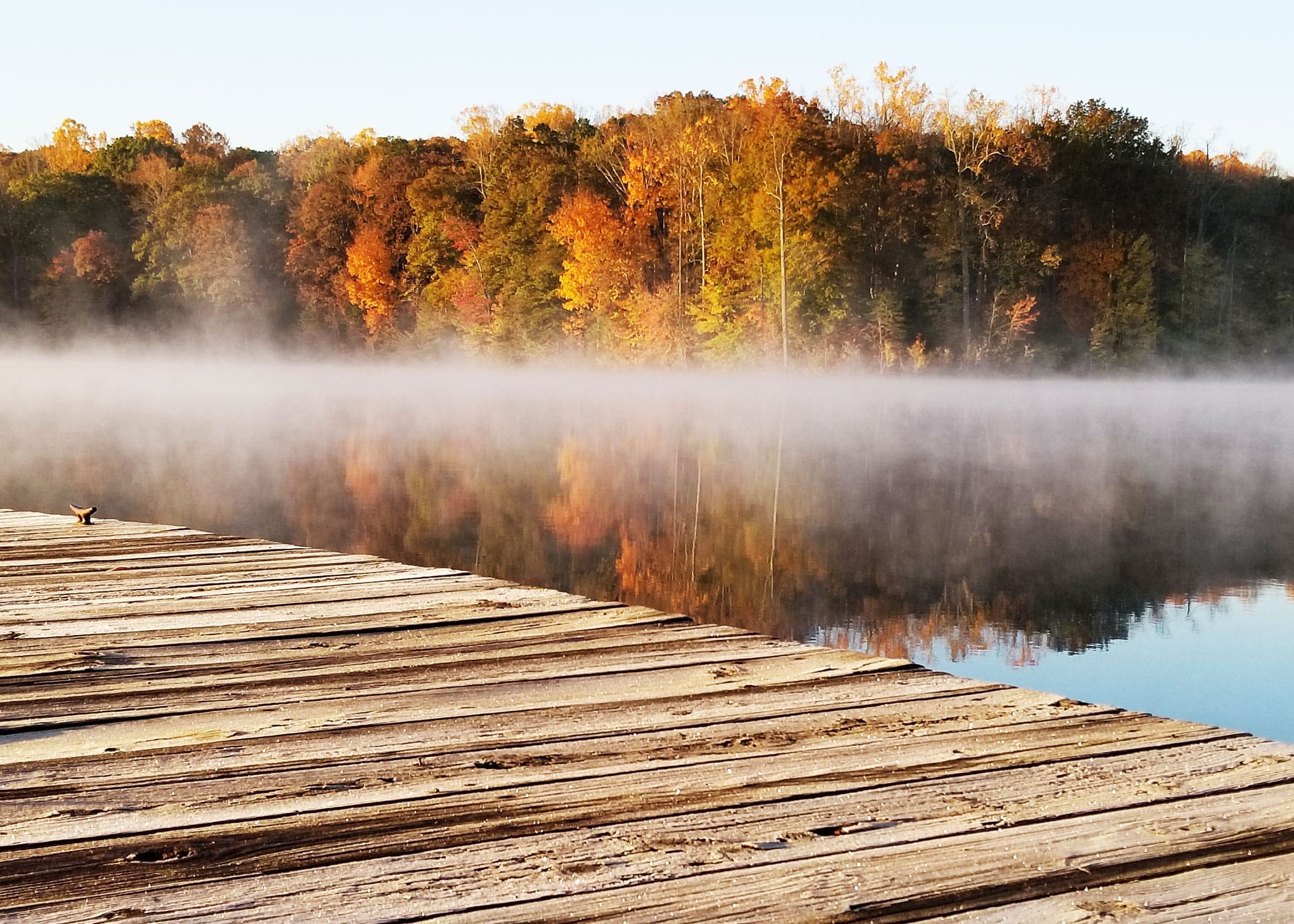 Best of Fall