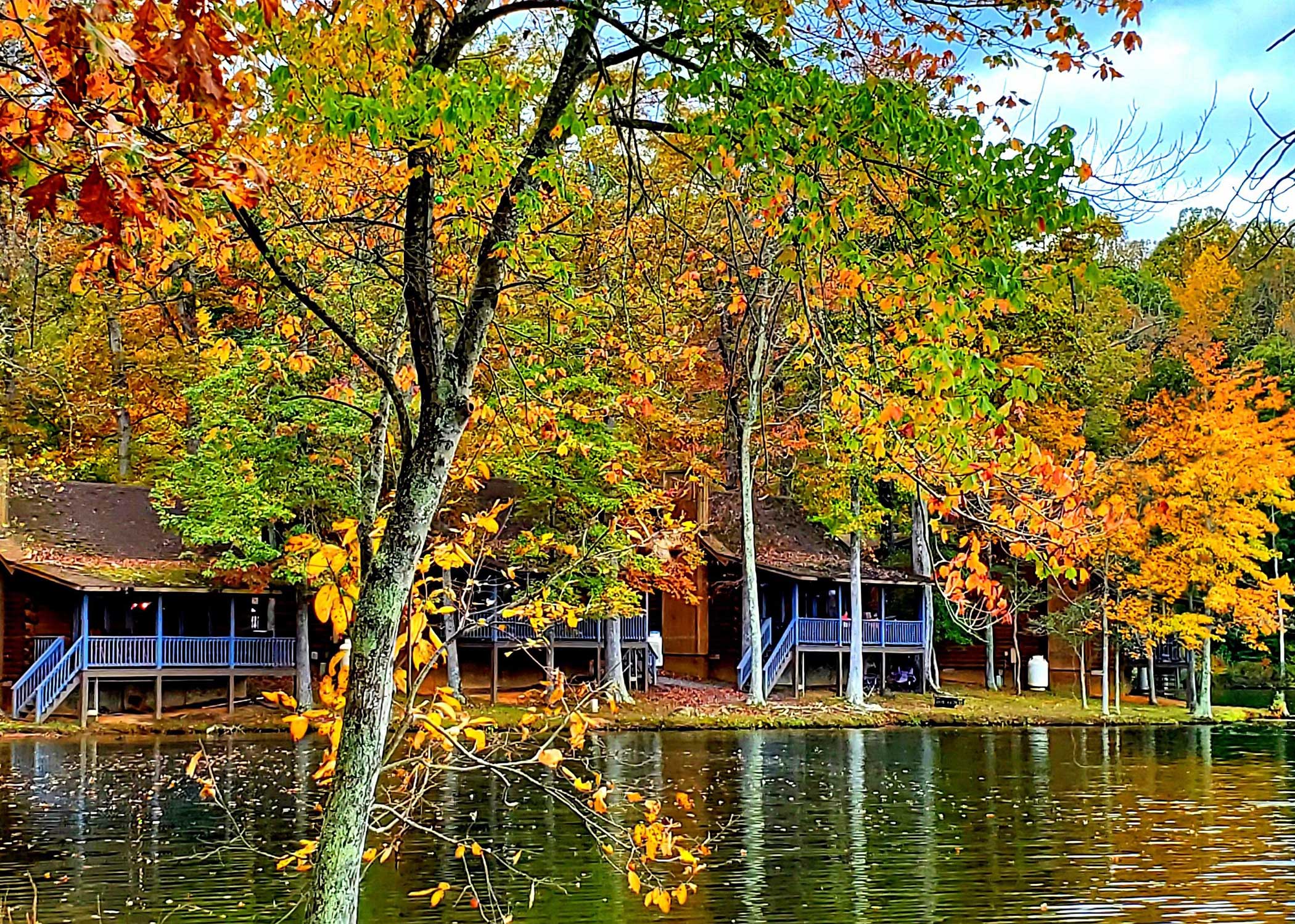 Thanksgiving Accommodation for Family and Friends