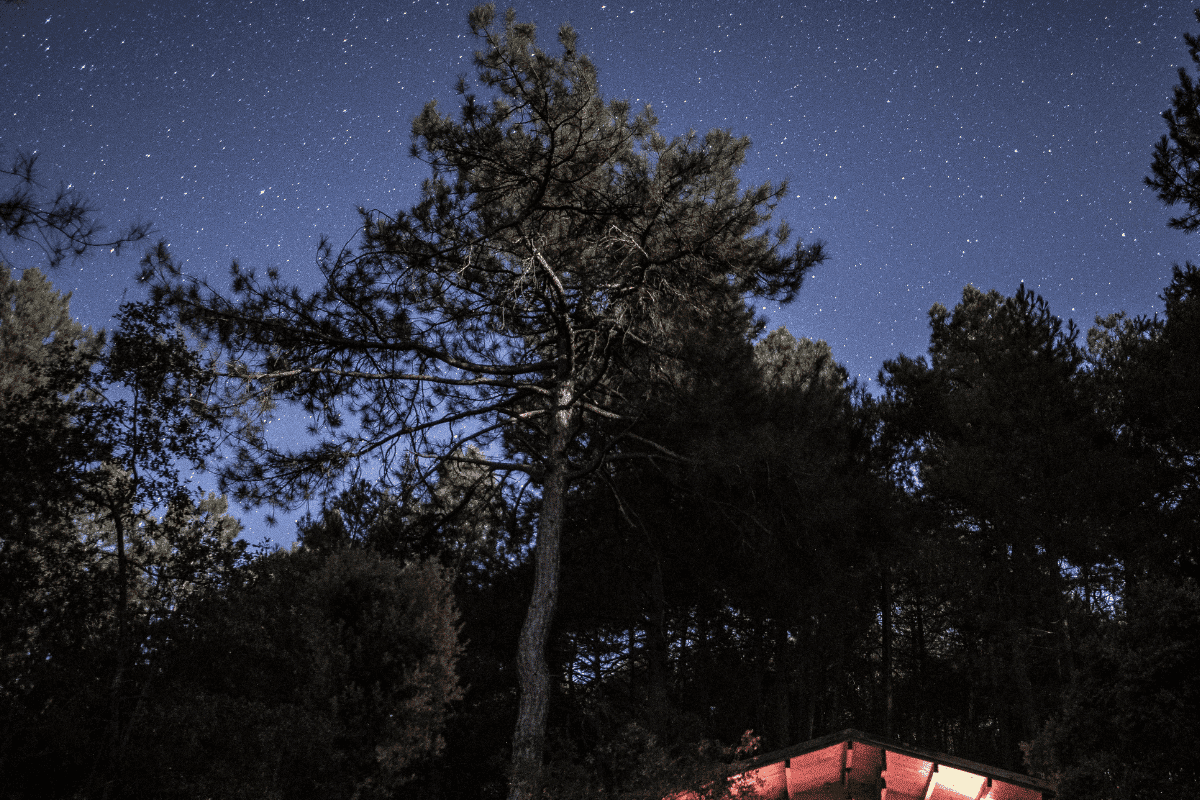 Cabin room with stars