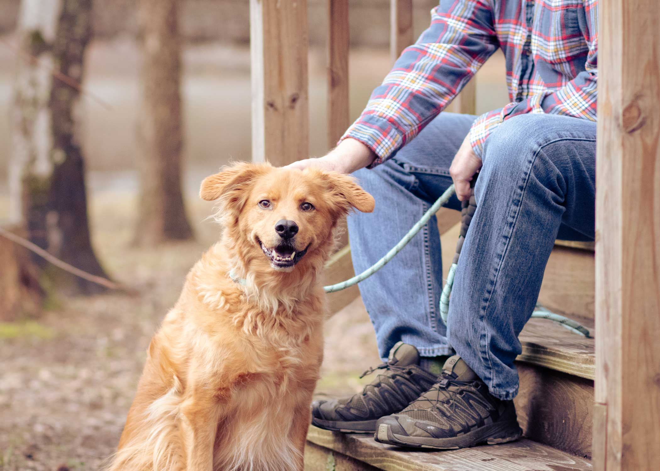 Pet Friendly Wilderness Adventures with your Pet