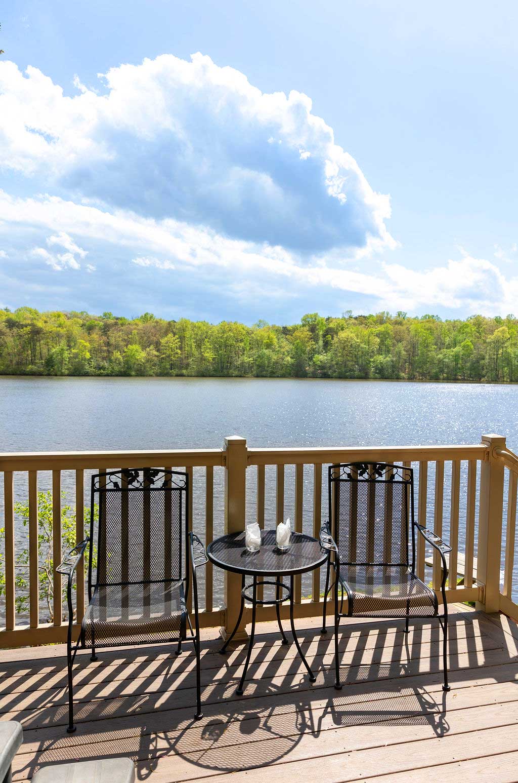 Cabin-View
