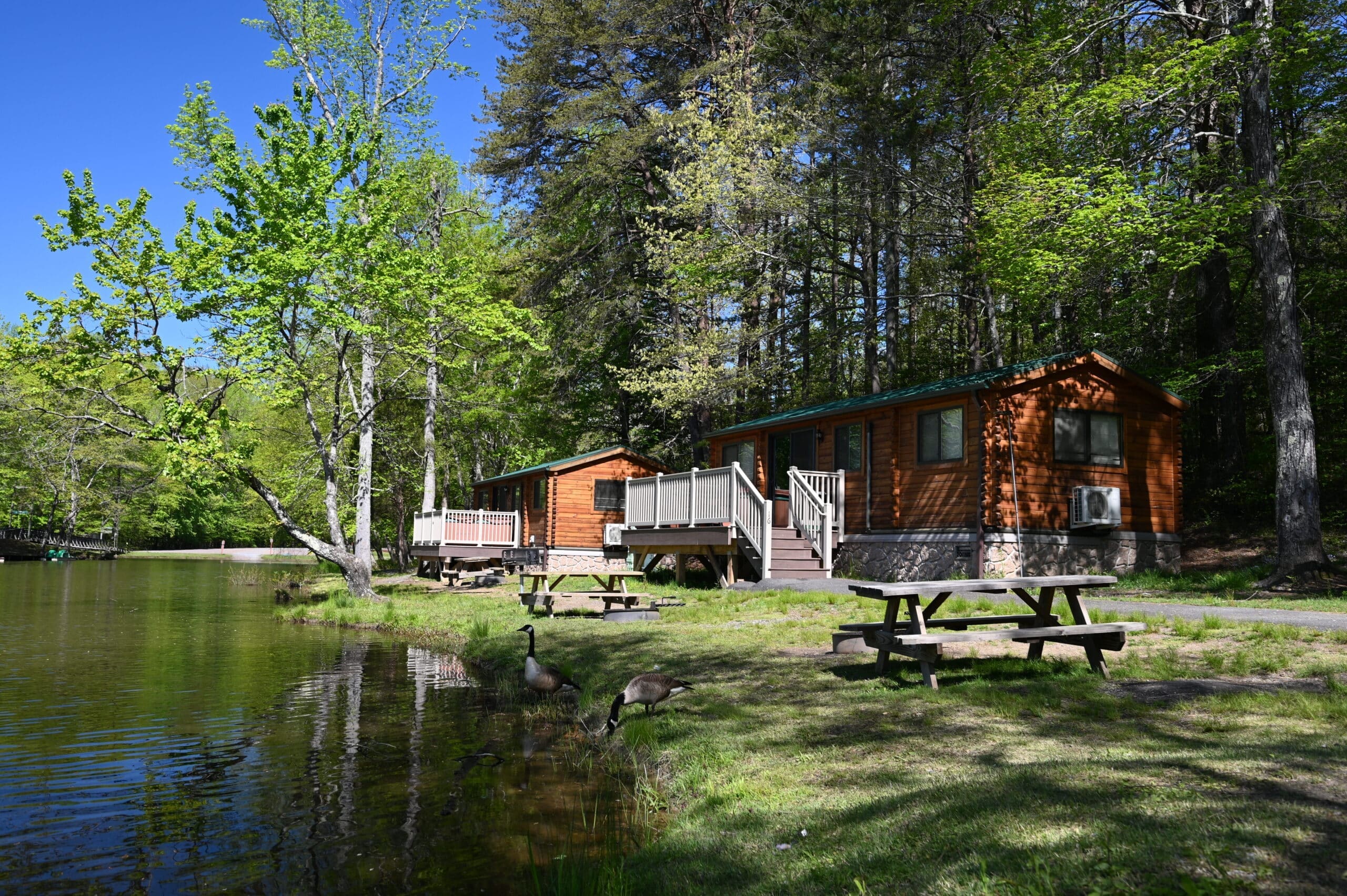 Exterior of a lakeside cabin at Wilderness Presidential Resort surrounded by trees