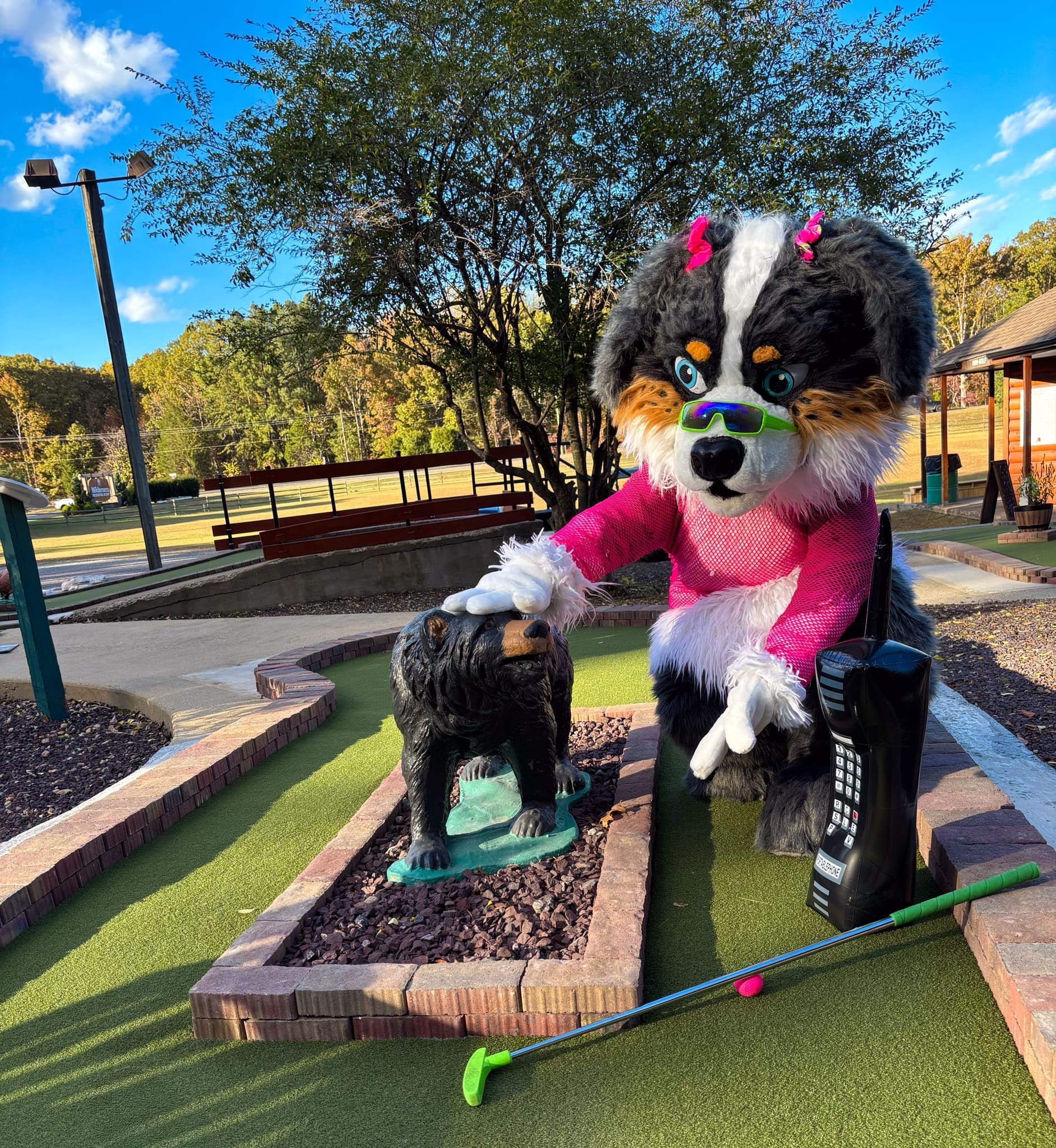 Ruff and Bear pet-friendly fun at Wilderness Presidential Resort