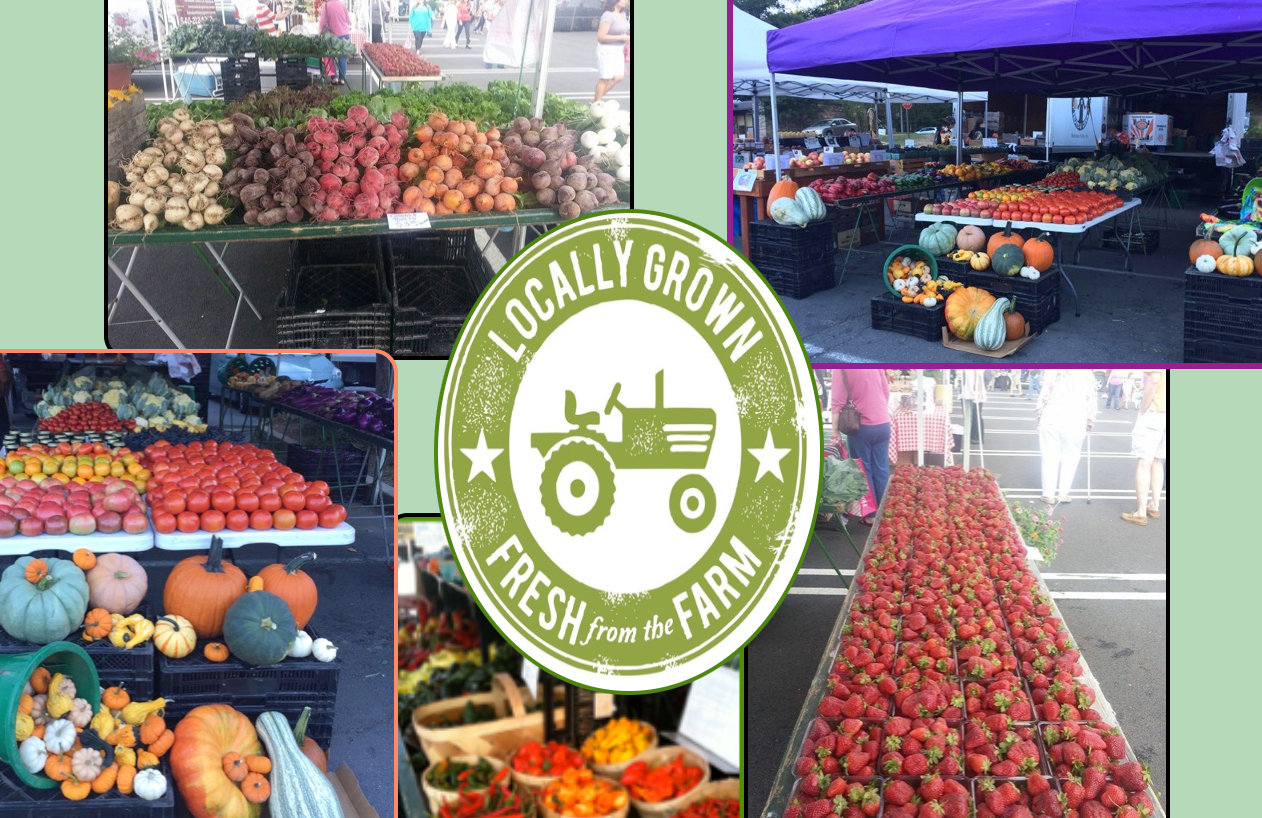 Mount Olympus Farm Market in Ruther Glen, VA