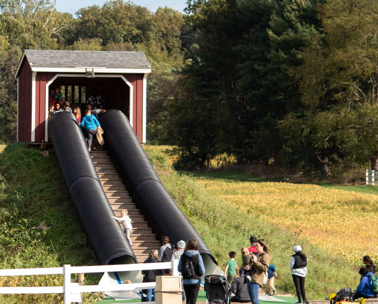 Temple Hall Farm corn maze in Leesburg, VA
