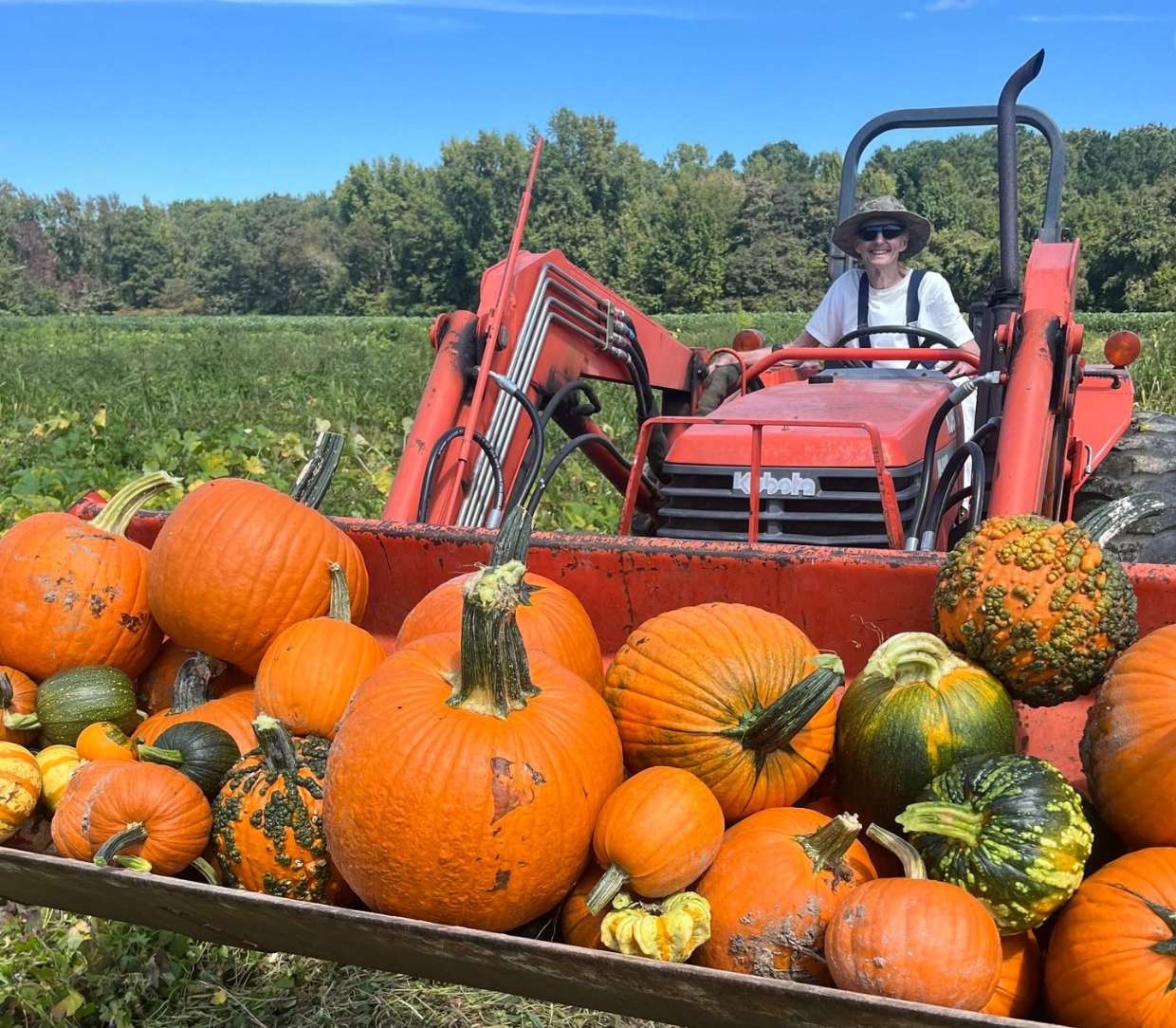 Windy Knoll Farm pumpkin patch in Mechanicsville, VA